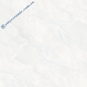 en69008-600x600-mm